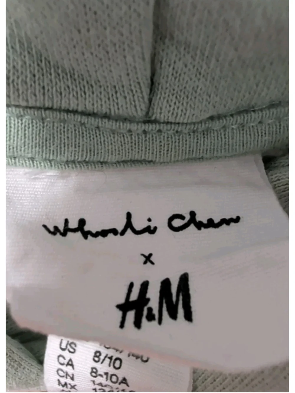 H&M Green Nature Animal Hoodie Sweatshirt Hooded Dress Woodli Chem 3D 8-10 Girls